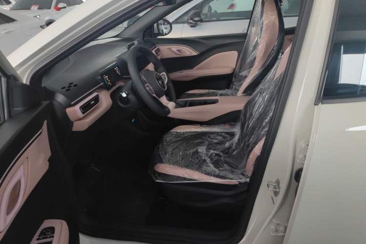 Used BYD Seagull 2025 305km Active Version Left Front Seat