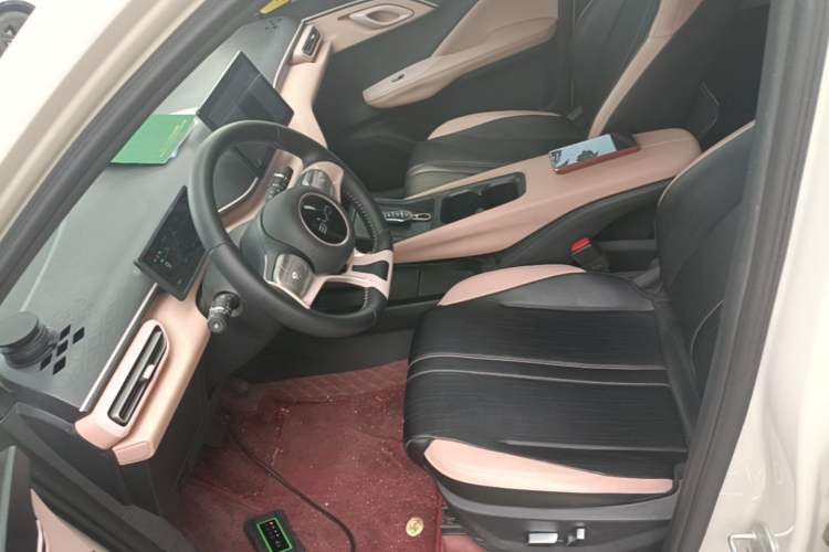 Used BYD Seagull 2025 305 km Free Version Left Front Seat