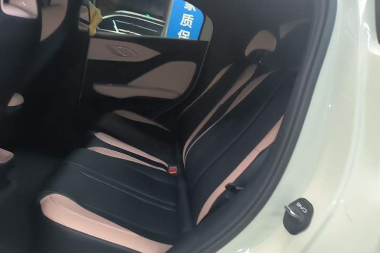 Used BYD Seagull 2025 Smart Drive Version 305 km Freedom Edition Left Rear Seat