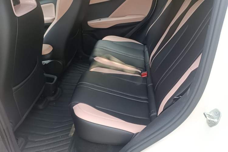 Used BYD Seagull 2025 305 km Free Version Left Rear Seat