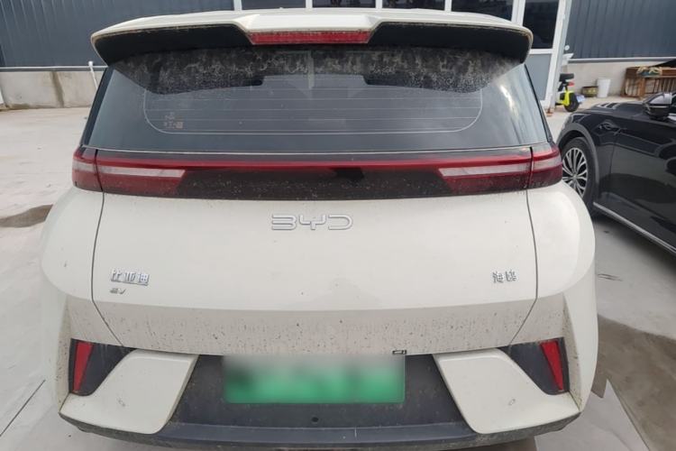 Used BYD Seagull 2025 Intelligent Driving Version 305 km Dynamic Edition Rear