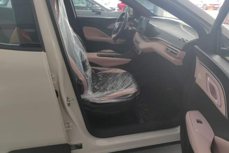 Used BYD Seagull 2025 305km Active Version Right Front Seat