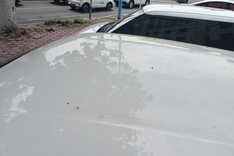 Used BYD Seagull 2025 305 km Free Version Roof