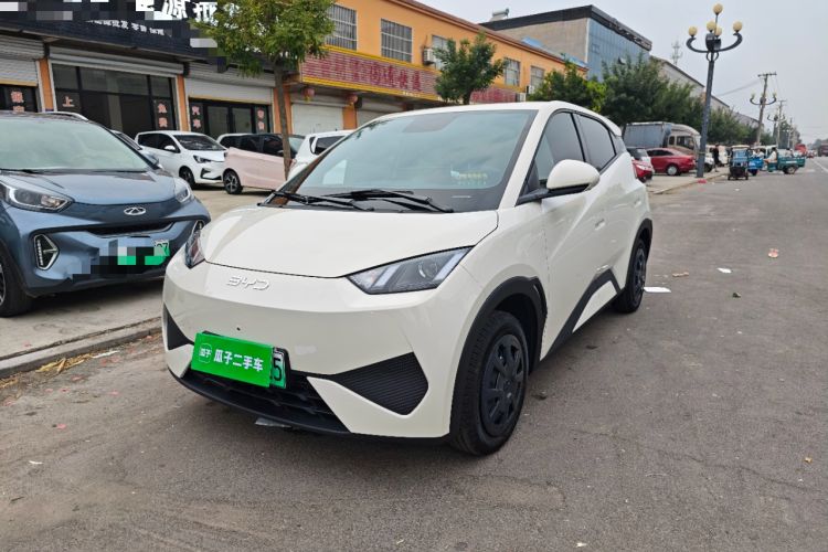 BYD Seagull 2026 Model, 305 km Vitality Edition
