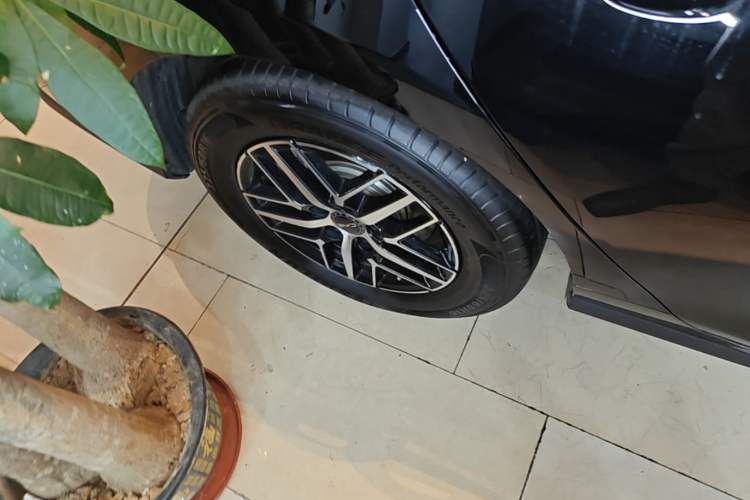 Used BYD Seal 05 DM-i 2025 DM-i Intelligent Drive 120KM Flagship Model Exterior 5