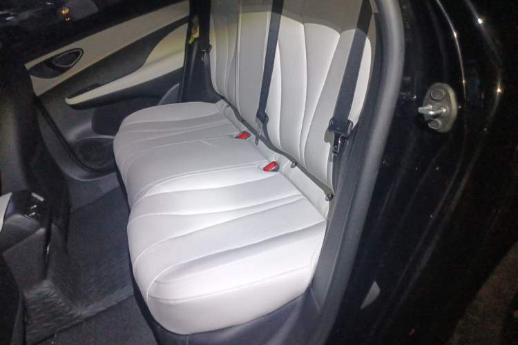 Used BYD Seal 05 DM-i 2025 DM-i Smart Drive 55KM Luxury Model Left Rear Seat