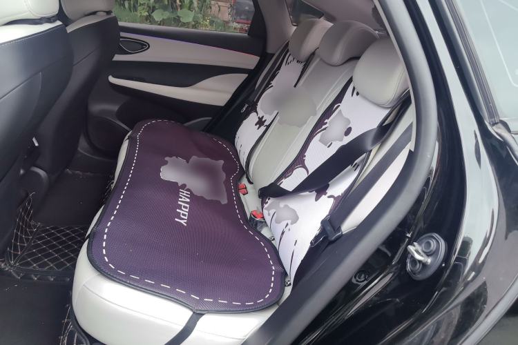 Used BYD Seal 05 DM-i 2025 DM-i Smart Drive 55KM Luxury Model Left Rear Seat
