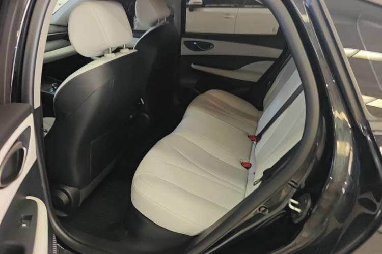 Used BYD Seal 05 DM-i 2025 DM-i Smart Drive 55KM Luxury Model Left Rear Seat