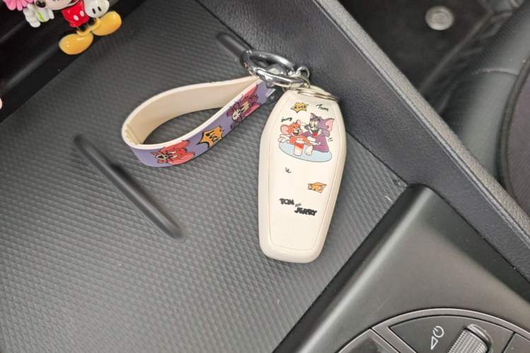 Used BYD Seal 05 DM-i 2025 DM-i Smart Drive 55KM Prestige Model Vehicle Key
