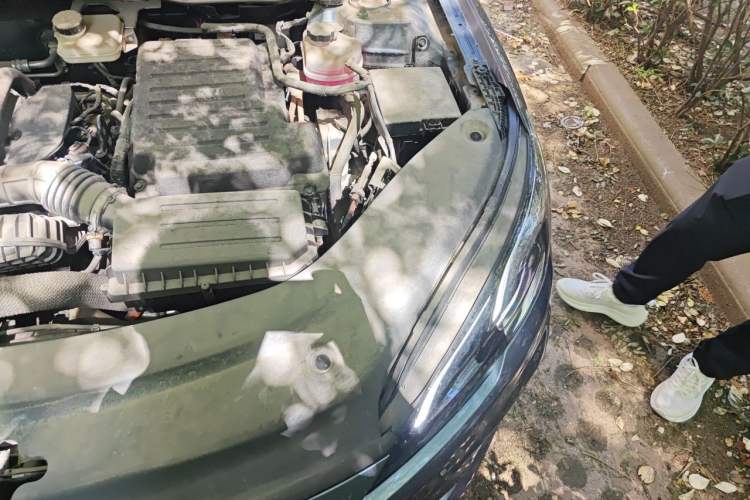 Used BYD Seal 05 DM-i 2025 DM-i Smart Drive 55KM Luxury Model Engine Bay Left
