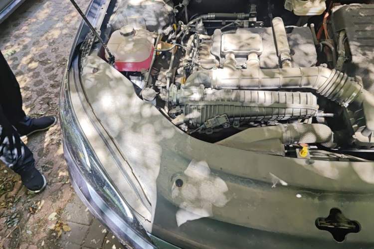 Used BYD Seal 05 DM-i 2025 DM-i Smart Drive 55KM Luxury Model Engine Bay Right