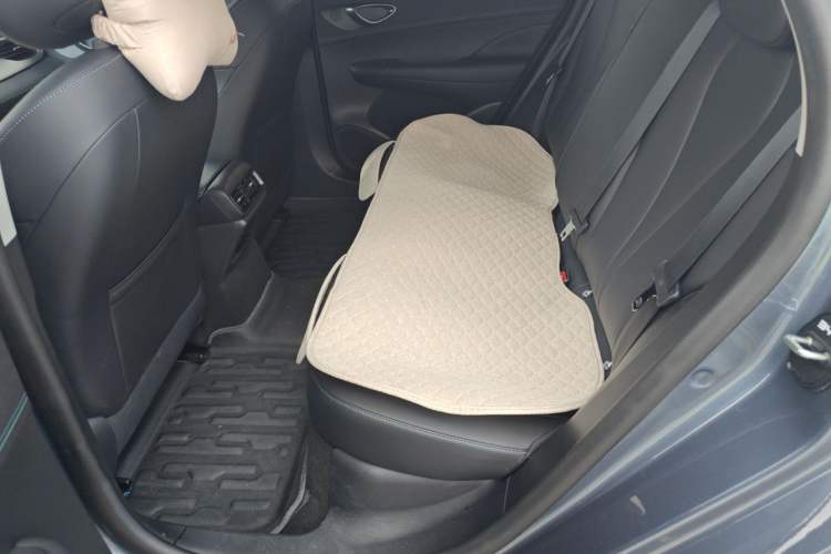 Used BYD Seal 05 DM-i 2025 DM-i Smart Drive 55KM Luxury Model Left Rear Seat