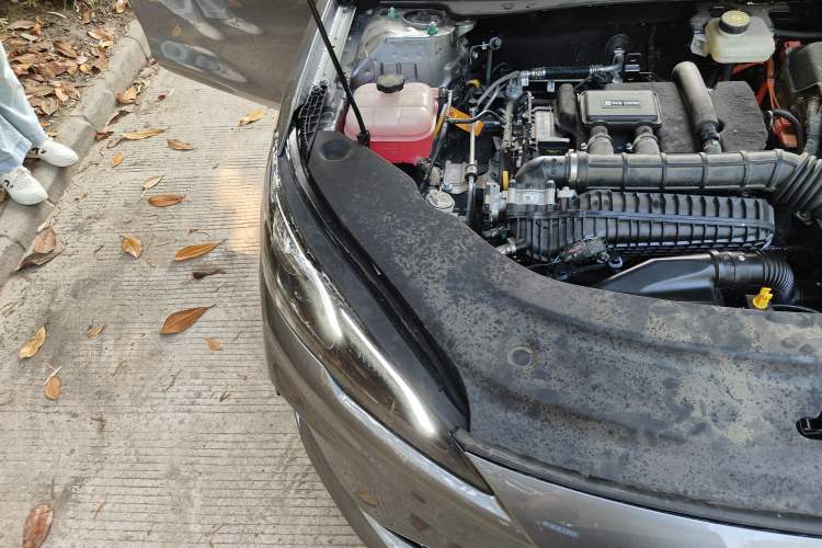 Used BYD Seal 05 DM-i 2025 DM-i Smart Drive 55KM Luxury Model Engine Bay Right