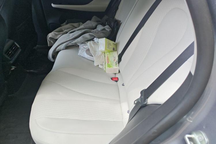 Used BYD Seal 05 DM-i 2025 DM-i Smart Drive 55KM Luxury Model Left Rear Seat