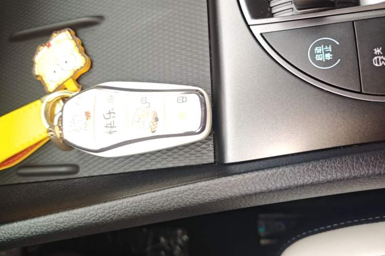 Used BYD Seal 05 DM-i 2025 DM-i Smart Drive 55KM Luxury Model Vehicle Key