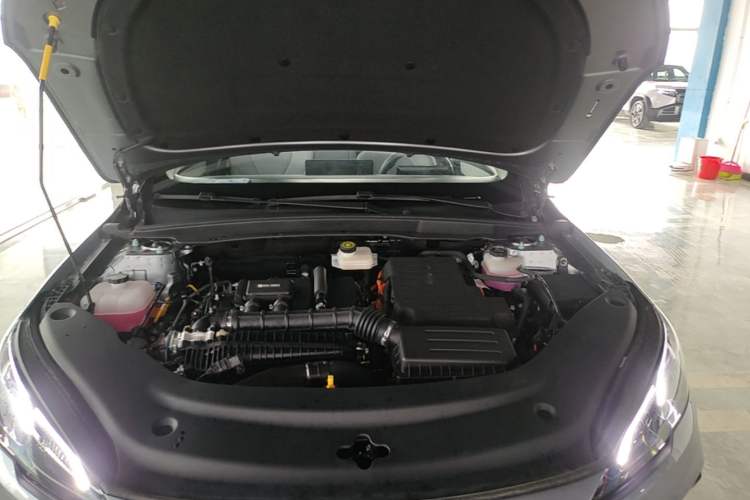 Used BYD Seal 05 DM-i 2025 DM-i Intelligent Drive 120KM Flagship Model Engine Bay