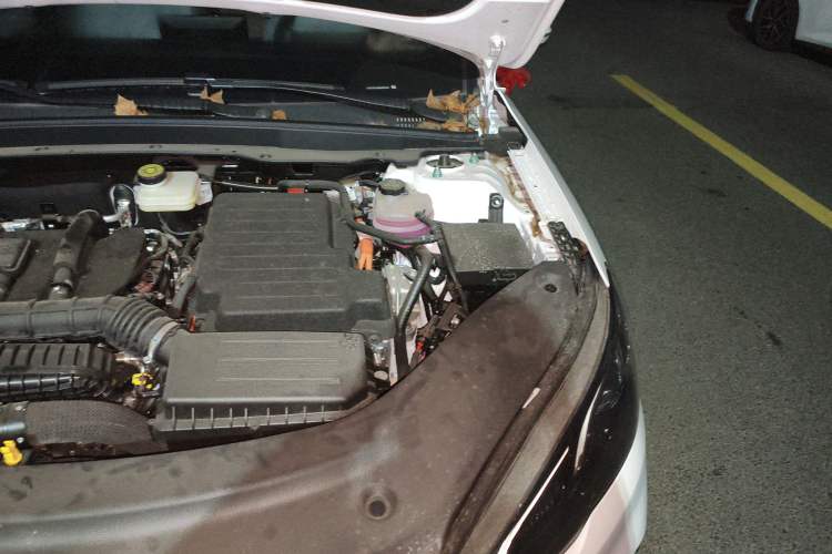 Used BYD Seal 05 DM-i 2025 DM-i Smart Drive 55KM Luxury Model Engine Bay Left