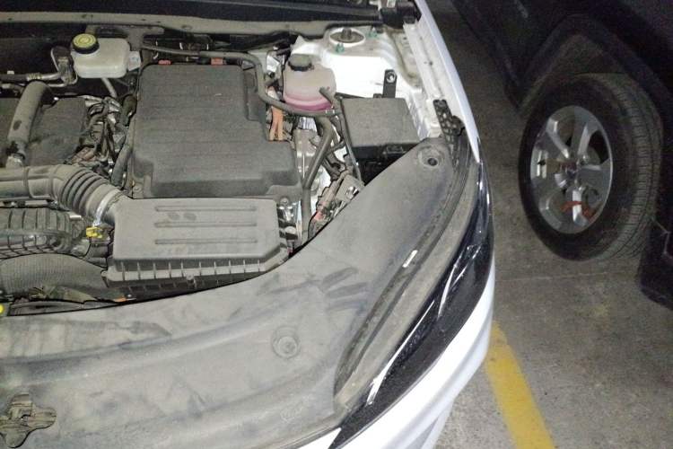 Used BYD Seal 05 DM-i 2025 DM-i Smart Drive 55KM Luxury Model Engine Bay Left