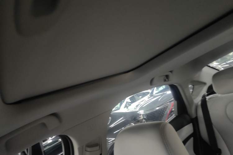 Used BYD Seal 05 DM-i 2025 DM-i Intelligent Drive 120KM Flagship Model Headliner