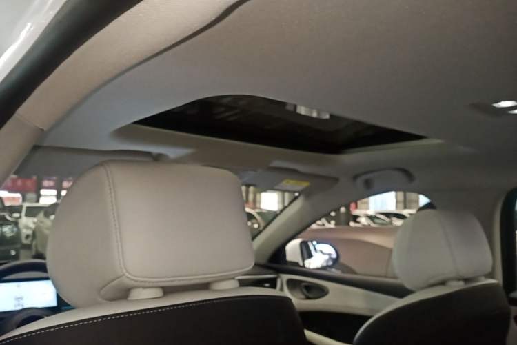 Used BYD Seal 05 DM-i 2025 DM-i Intelligent Drive 120KM Flagship Model Headliner