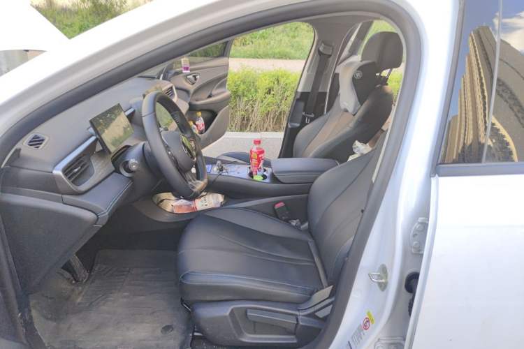 Used BYD Seal 05 DM-i 2025 DM-i Smart Drive 55KM Luxury Model Left Front Seat