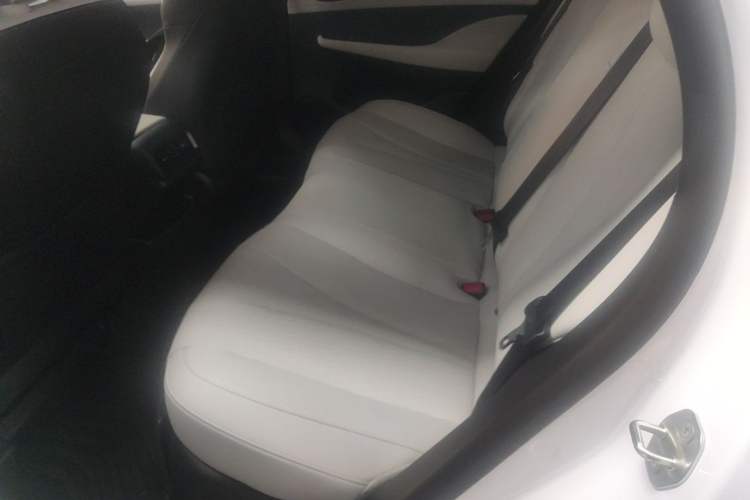 Used BYD Seal 05 DM-i 2025 DM-i Smart Drive 55KM Luxury Model Left Rear Seat