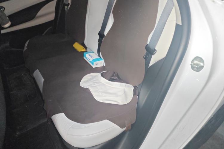 Used BYD Seal 05 DM-i 2025 DM-i Smart Drive 55KM Luxury Model Left Rear Seat