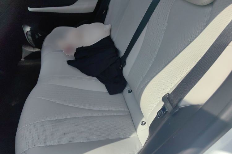 Used BYD Seal 05 DM-i 2025 DM-i Smart Drive 55KM Luxury Model Left Rear Seat