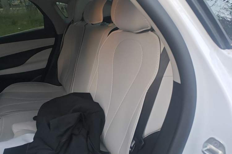 Used BYD Seal 05 DM-i 2025 DM-i Smart Drive 55KM Luxury Model Left Rear Seat