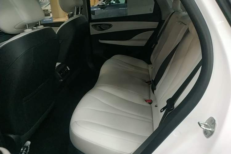 Used BYD Seal 05 DM-i 2025 DM-i Intelligent Drive 120KM Flagship Model Left Rear Seat
