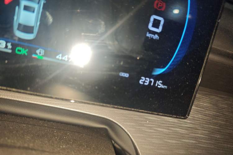 Used BYD Seal 05 DM-i 2025 DM-i Smart Drive 55KM Luxury Model Odometer Close Up