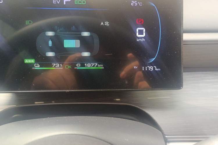 Used BYD Seal 05 DM-i 2025 DM-i Smart Drive 55KM Luxury Model Odometer Close Up