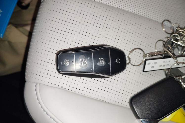 Used BYD Seal 05 DM-i 2025 DM-i Intelligent Drive 120KM Flagship Model Vehicle Key