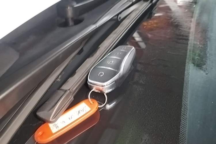 Used BYD Seal 05 DM-i 2025 DM-i Smart Drive 55KM Luxury Model Vehicle Key