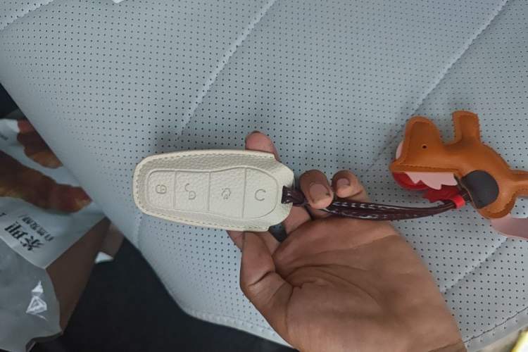 Used BYD Seal 05 DM-i 2025 DM-i Smart Drive 55KM Luxury Model Vehicle Key