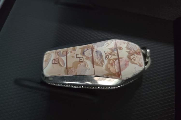 Used BYD Seal 05 DM-i 2025 DM-i Smart Drive 55KM Luxury Model Vehicle Key