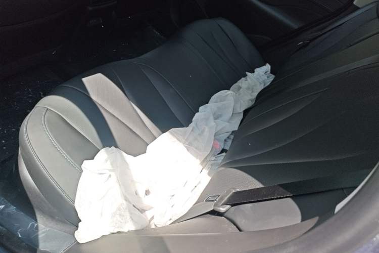 Used BYD Seal 05 DM-i 2026 DM-i 128KM Luxury Edition Left Rear Seat