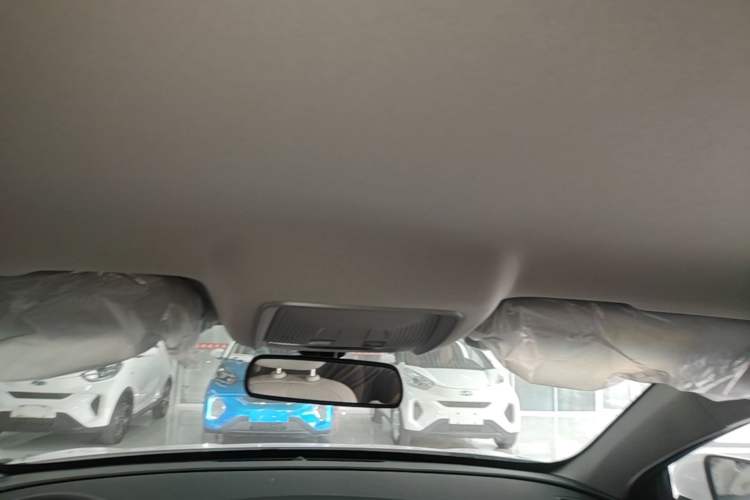 Used BYD Seal 05 DM-i 2026 DM-i 128KM Luxury Edition Headliner