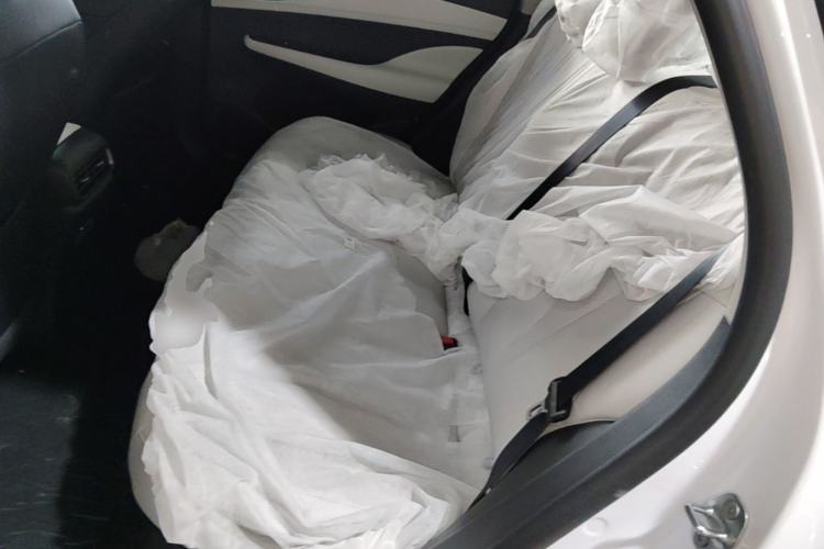 Used BYD Seal 05 DM-i 2026 DM-i 128KM Luxury Edition Left Rear Seat
