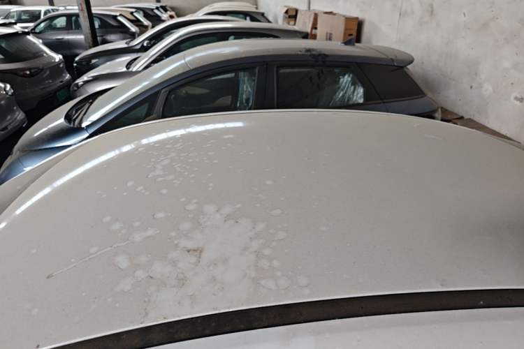 Used BYD Seal 05 DM-i 2026 DM-i 128KM Luxury Edition Roof