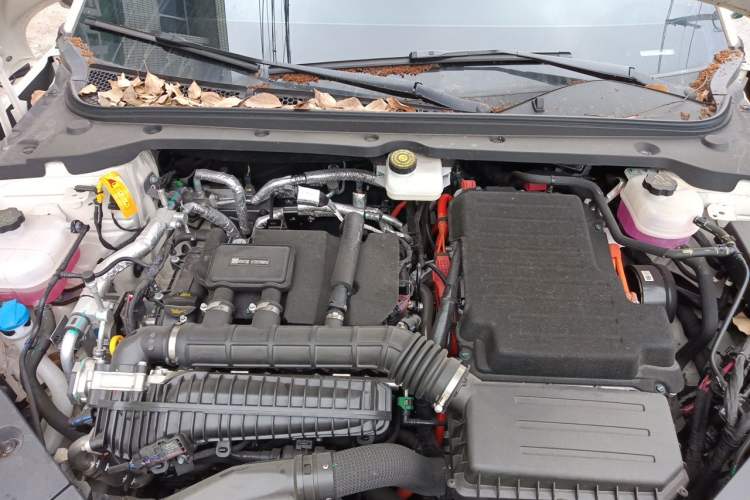 Used BYD Seal 06 DM-i Touring 2025 DM-i 80KM Prestigious Edition Engine Bay