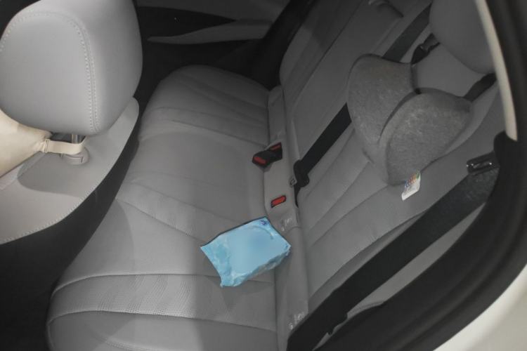 Used BYD Seal 06 DM-i Touring 2025 DM-i Touring High-End Model Left Rear Seat