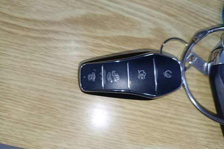 Used BYD Seal 06 DM-i Touring 2025 DM-i Touring High-End Model Vehicle Key