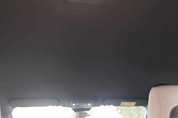 Used BYD Seal 06 New Energy 2024 DM-i 80KM Luxury Model Headliner