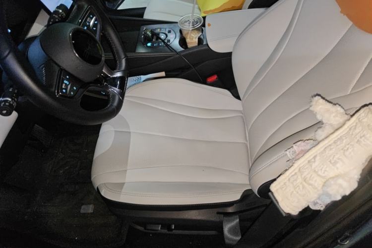 Used BYD Seal 06 New Energy 2024 DM-i 120KM Prestige Model Left Front Seat
