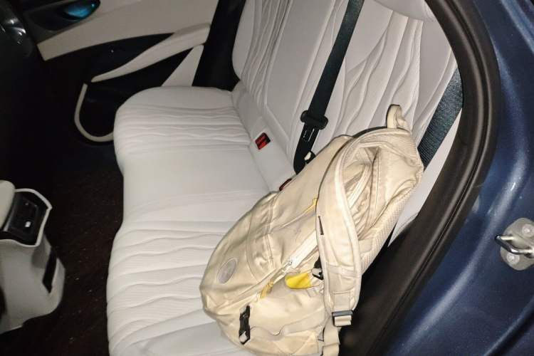 Used BYD Seal 06 New Energy 2024 DM-i 120KM Flagship Model Left Rear Seat