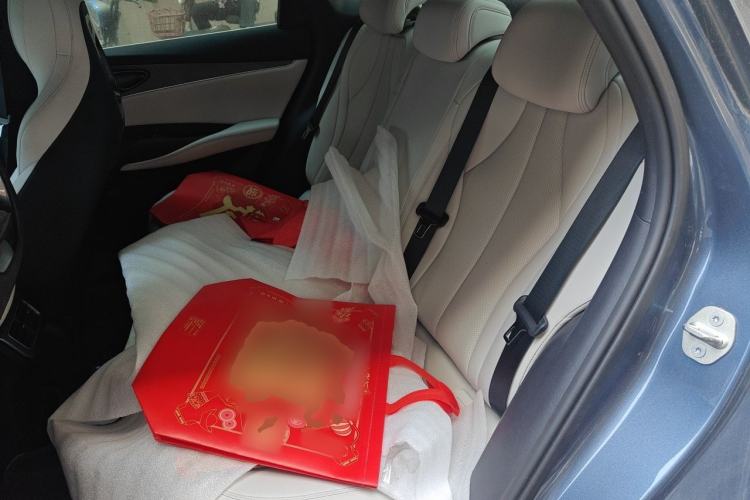 Used BYD Seal 06 New Energy 2024 DM-i 80KM Luxury Model Left Rear Seat