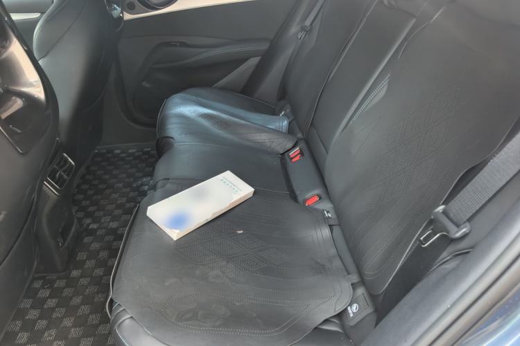 Used BYD Seal 06 New Energy 2024 DM-i 120KM Flagship Model Left Rear Seat