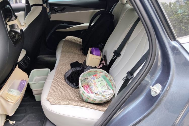 Used BYD Seal 06 New Energy 2024 DM-i 80KM Luxury Model Left Rear Seat