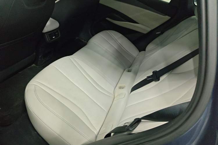 Used BYD Seal 06 New Energy 2024 DM-i 80KM Luxury Model Left Rear Seat